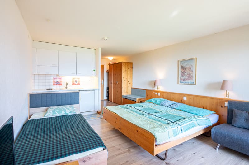 Gemütliches 1-Zimmer-Studio mit Bergsicht in Aeschi bei Spiez kaufen (3)