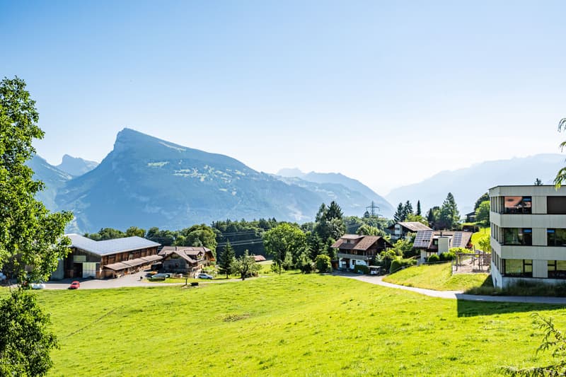 Gemütliches 1-Zimmer-Studio mit Bergsicht in Aeschi bei Spiez kaufen (2)