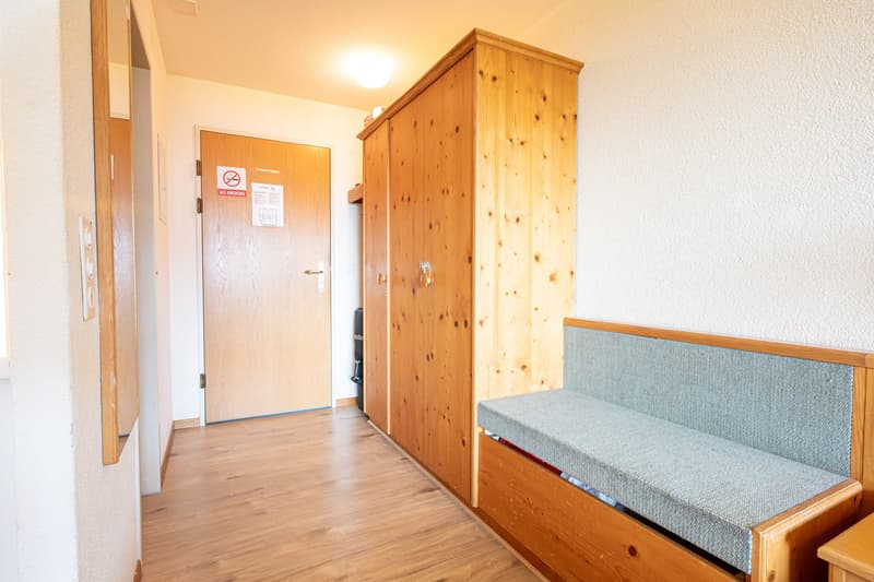 Gemütliches 1-Zimmer-Studio mit Bergsicht in Aeschi bei Spiez kaufen (6)