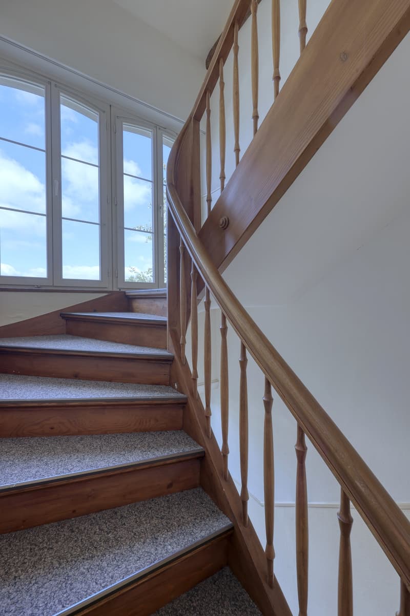 wooden staircase with carpeted steps, wooden handrail, white wall, large windows
