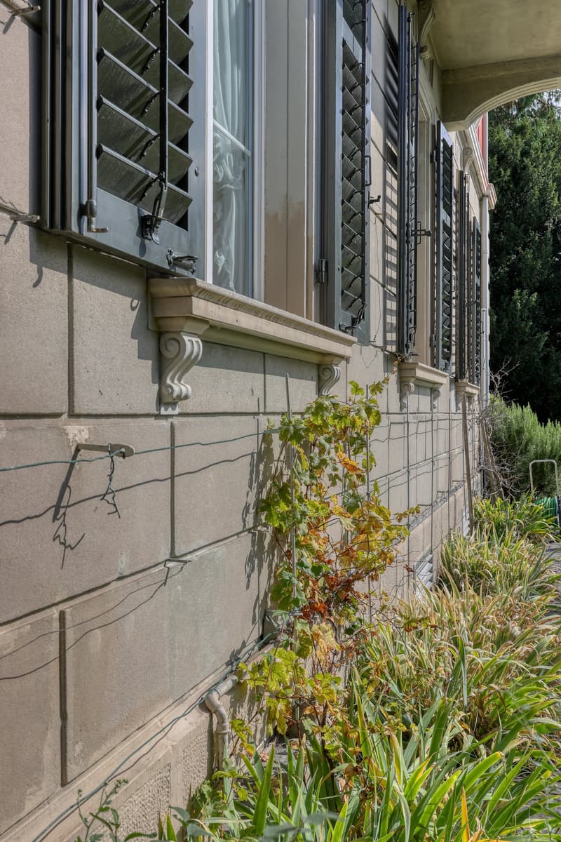 Stone wall, black shutters, window with white curtain, plants growing on the wall