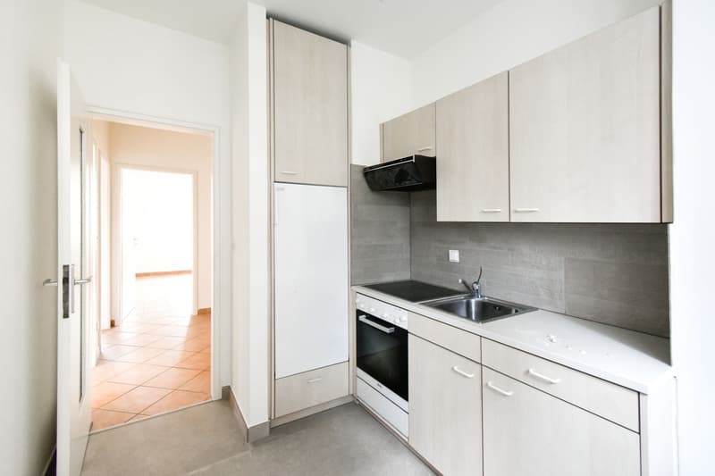 PRATICO 3.5 LOCALI A MENDRISIO (2)