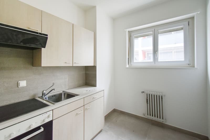 PRATICO 3.5 LOCALI A MENDRISIO (3)