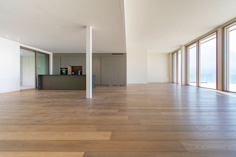 LUXURY PENTHOUSE WITH AMAZING LAKE VIEW (2)
