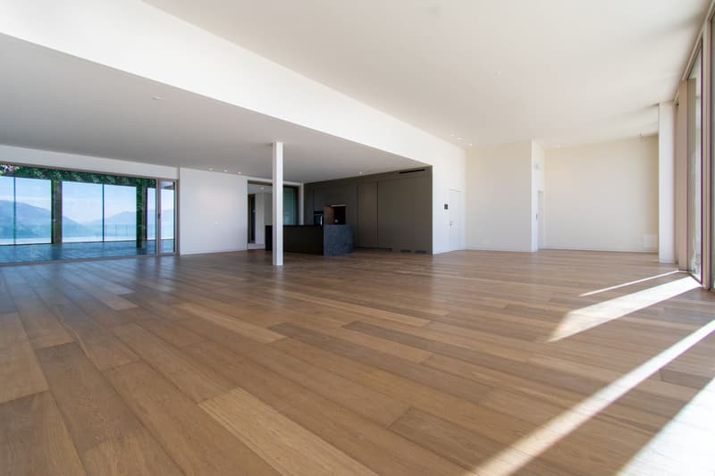 LUXURY PENTHOUSE WITH AMAZING LAKE VIEW (3)