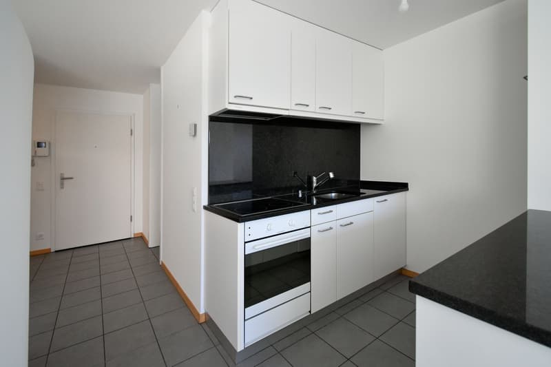 MODERNO MONOLOCALE CON AMPIA TERRAZZA (3)