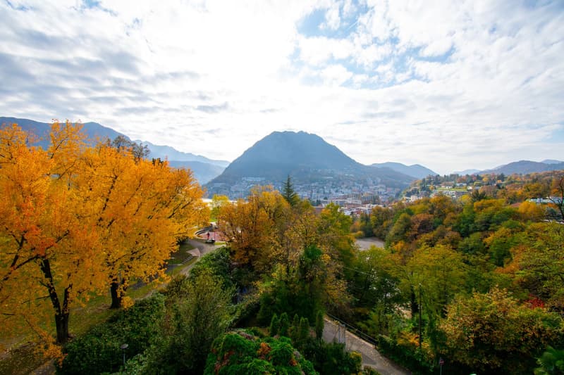 ATTICO 4.5 LOCALI RISTRUTTURATO CON CAMINO E VISTA LAGO (15)