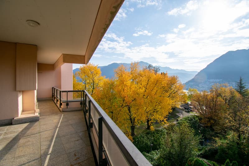 ATTICO 4.5 LOCALI RISTRUTTURATO CON CAMINO E VISTA LAGO (4)
