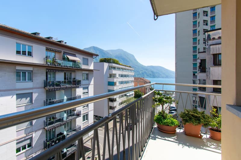 LUMINOSO APPARTAMENTO 4.5 LOCALI CON BALCONE VISTA LAGO (14)