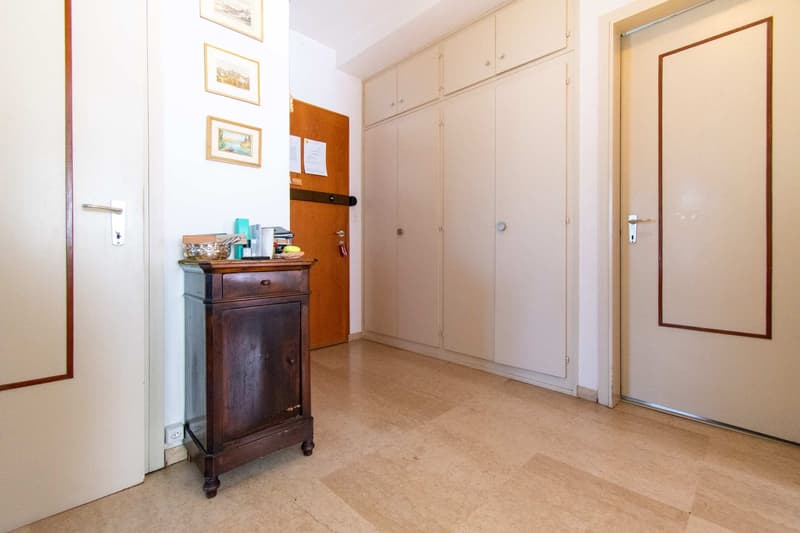 LUMINOSO APPARTAMENTO 4.5 LOCALI CON BALCONE VISTA LAGO (12)