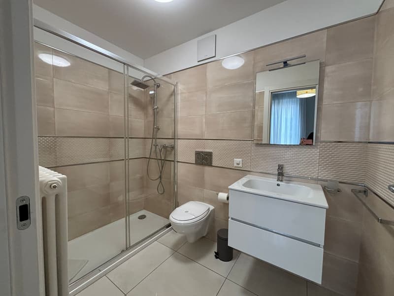 MODERNO APPARTAMENTO 4.5 VICINO AL CENTRO CITTÀ (10)
