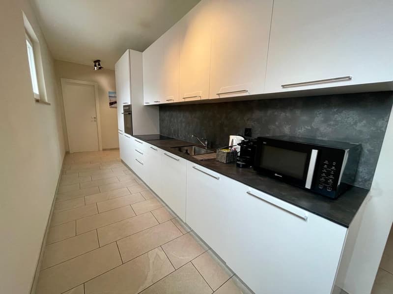 MODERNO APPARTAMENTO 4.5 VICINO AL CENTRO CITTÀ (4)