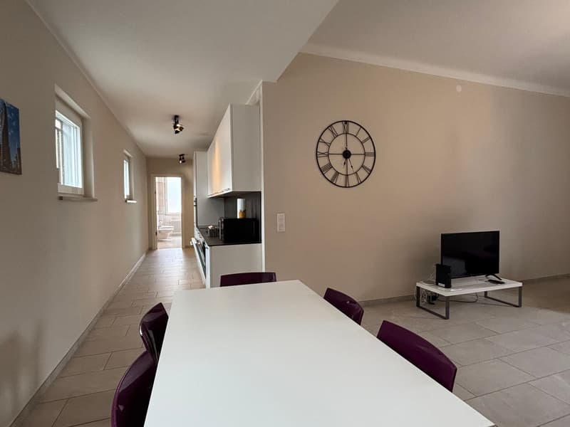 MODERNO APPARTAMENTO 4.5 VICINO AL CENTRO CITTÀ (3)