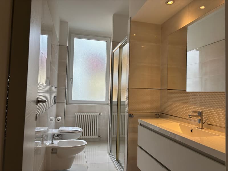 MODERNO APPARTAMENTO 4.5 VICINO AL CENTRO CITTÀ (8)