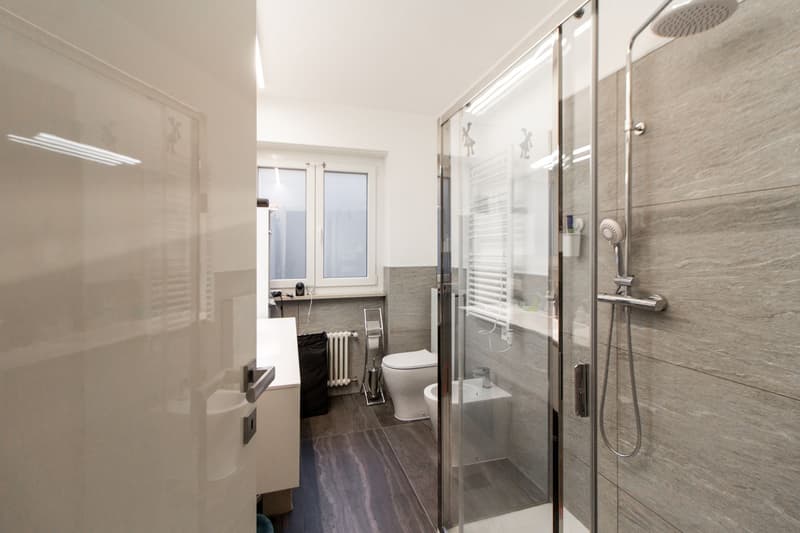 MODERNO APPARTAMENTO 3.5 CON VISTA LAGO (5)