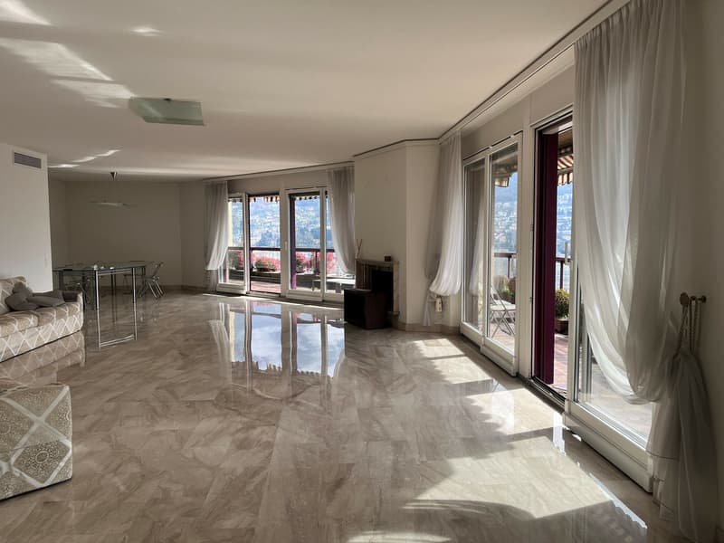 ATTICO CON TERRAZZA E VISTA LAGO (5)