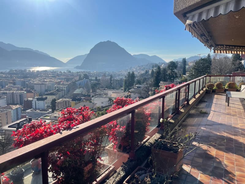 ATTICO CON TERRAZZA E VISTA LAGO (12)