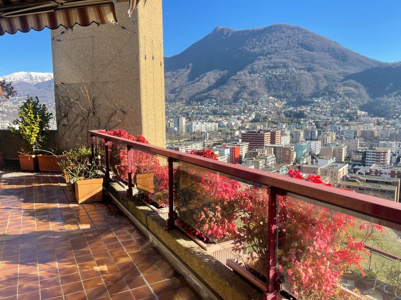 ATTICO CON TERRAZZA E VISTA LAGO (13)