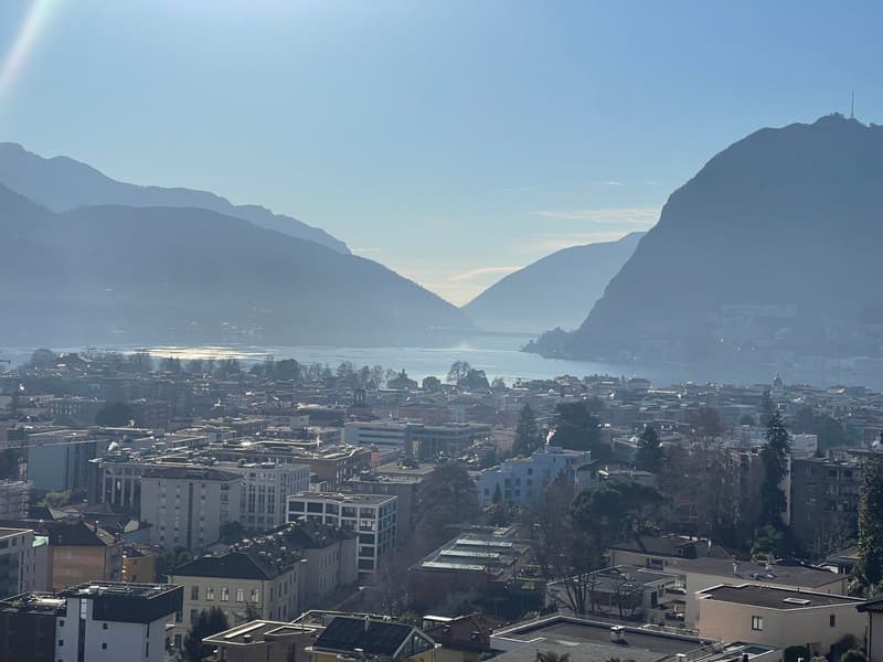 ATTICO CON TERRAZZA E VISTA LAGO (14)