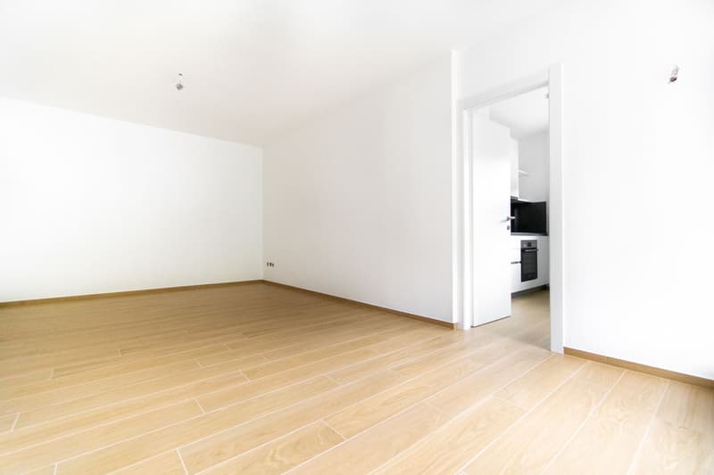 3.5 LOCALI COMPLETAMENTE RISTRUTTURATO A CASSARATE (3)