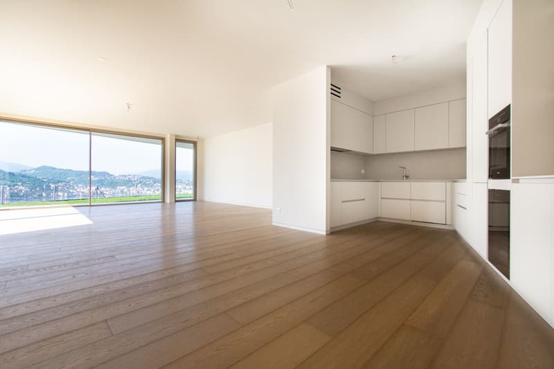 LUSSUOSO APPARTAMENTO CON GIARDINO PANORAMICO E VISTA LAGO (3)