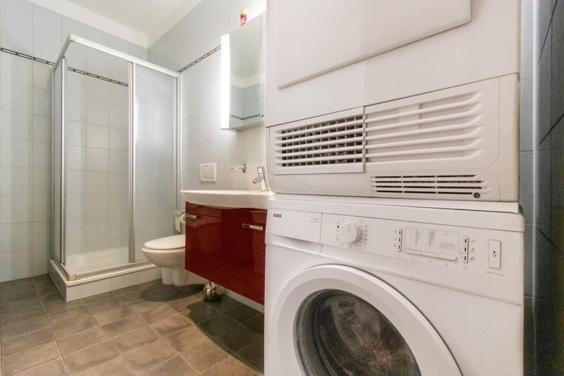 MODERNO APPARTAMENTO 4.5 CON TERRAZZA (11)