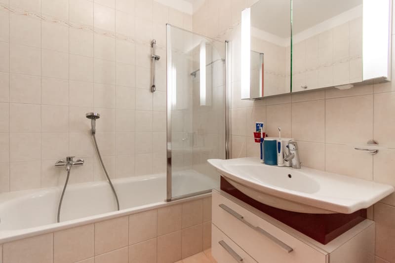 MODERNO APPARTAMENTO 4.5 CON TERRAZZA (12)