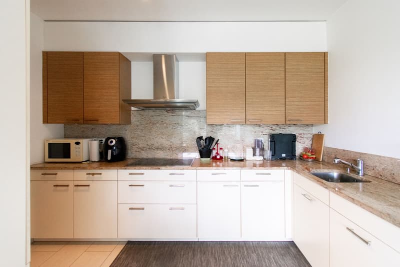 MODERNO APPARTAMENTO 4.5 CON TERRAZZA (4)