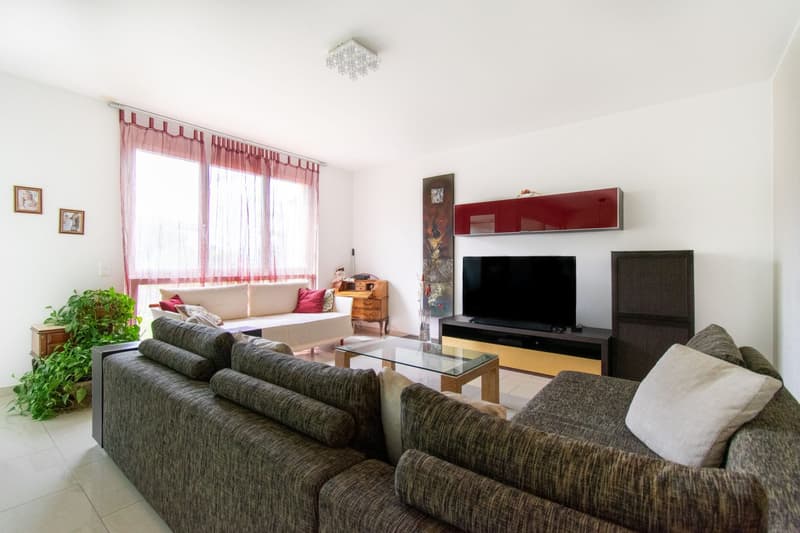 MODERNO APPARTAMENTO 4.5 CON TERRAZZA (2)