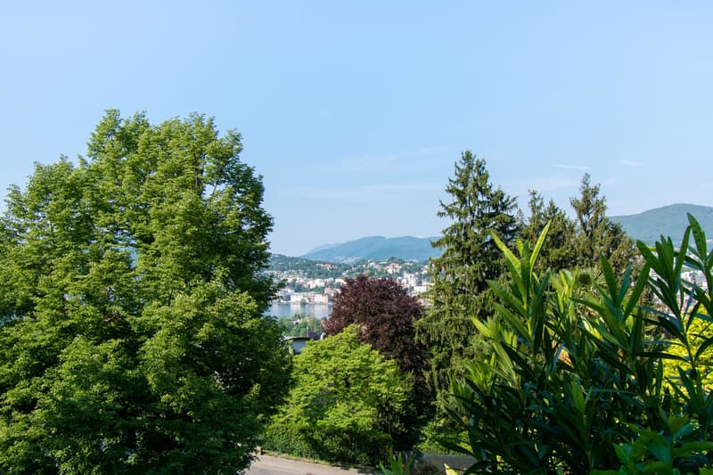 RAFFINATO APPARTAMENTO 4.5 CON GIARDINO IMMERSO NEL VERDE (9)