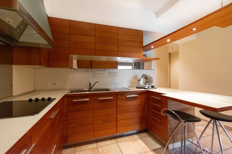 RAFFINATO APPARTAMENTO 4.5 CON GIARDINO IMMERSO NEL VERDE (3)