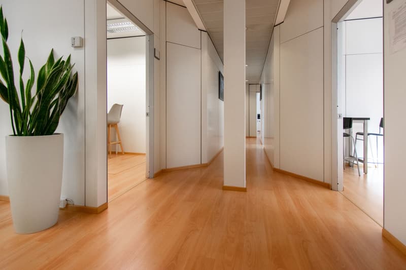 ELEGANTE UFFICIO NEL CUORE DI LUGANO (8)