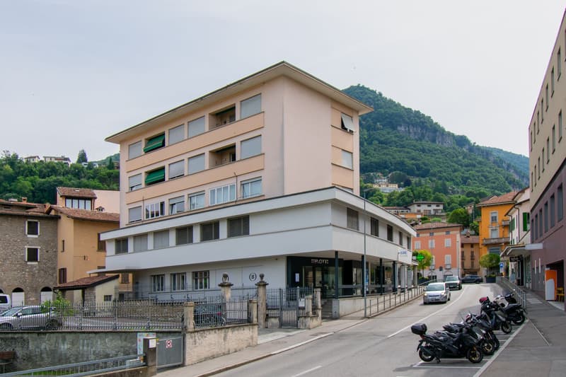 STABILE A REDDITO NEL CUORE DI MENDRISIO (1)