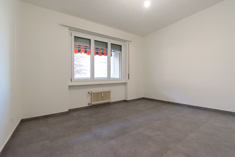 3.5 LOCALI RISTRUTTURATO A PREGASSONA (6)