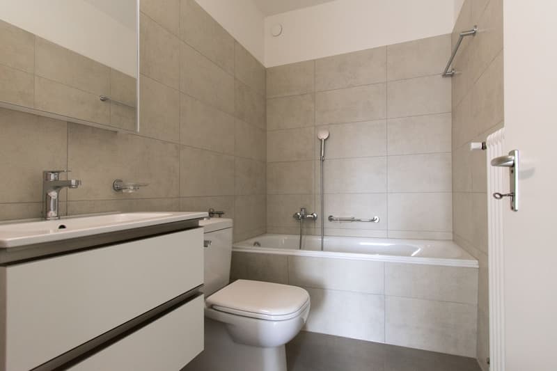 3.5 LOCALI RISTRUTTURATO A PREGASSONA (8)