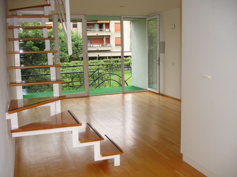 AMPIO E LUMINOSO DUPLEX DI 3.5 LOCALI VICINO AL CONSERVATORIO (3)