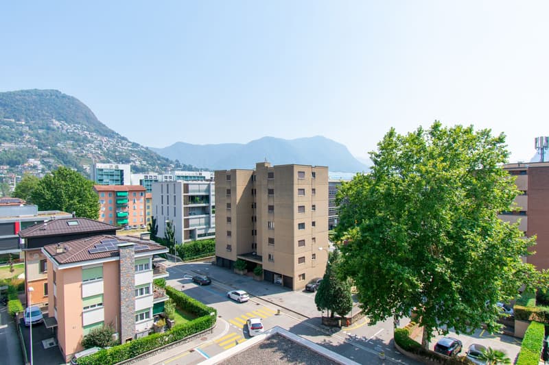PRATICO 2.5 LOCALI PARZIALMENTE RISTRUTTURATO VICINO AL CENTRO (8)