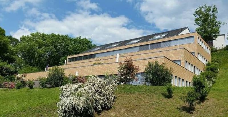 LUMINOSO 4.5 LOCALI A PAZZALLO VICINO ALLE SCUOLE (1)