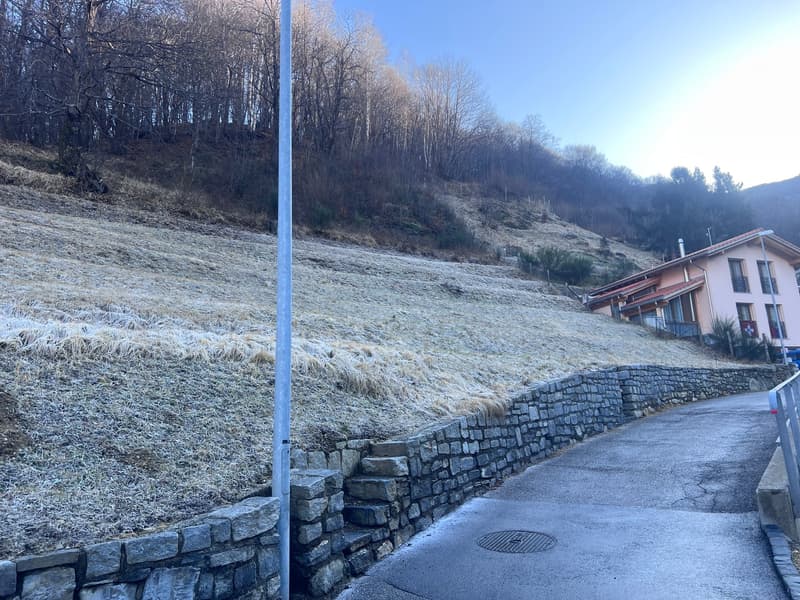 Terreno con progetto approvato per 4 case a Lugano-Valcolla (8)