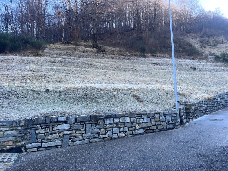 Terreno con progetto approvato per 4 case a Lugano-Valcolla (7)