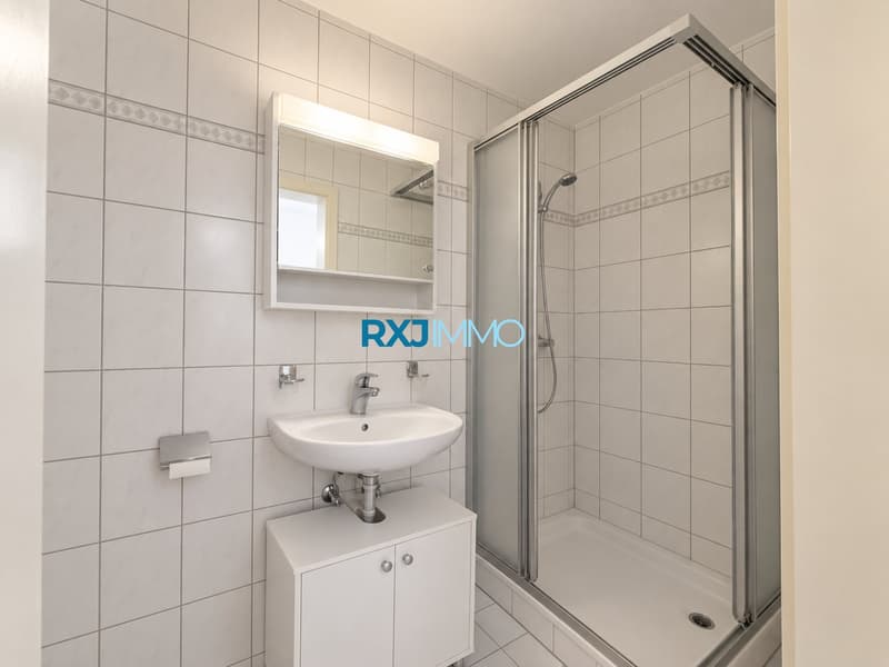 Appartement de 4.5 pièces avec terrasse de 45 m² à Onnens FR (8)