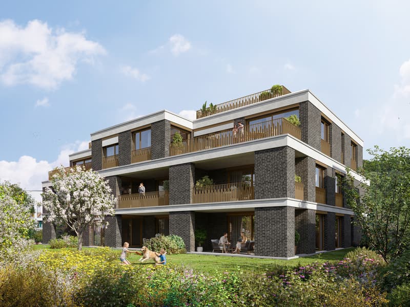 PROJEKTANKÜNDIGUNG - Neubauprojekt Green Ville (1)