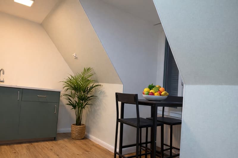 1-Zimmer Wohnung, möbliert in Kriens (6)