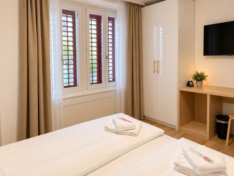 Gemütliches möbliertes 1-Zimmer-Apartment in Kriens (3)