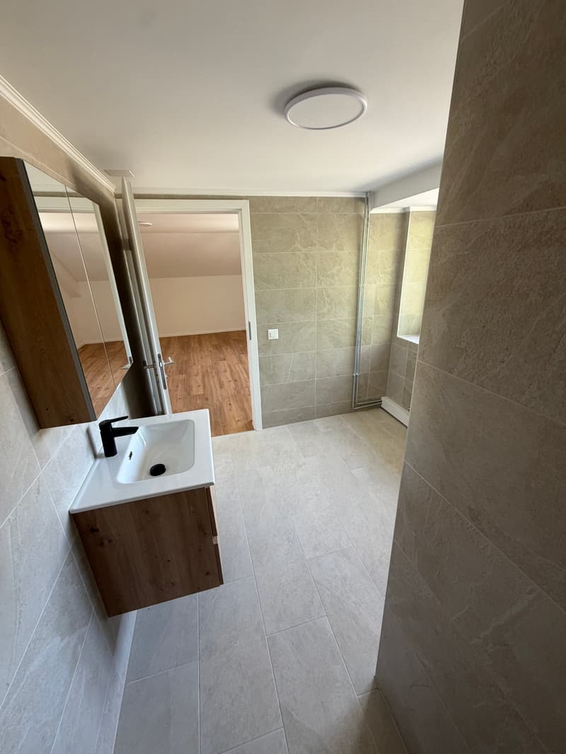 2,5 Zimmer Wohnung – renoviert! (12)