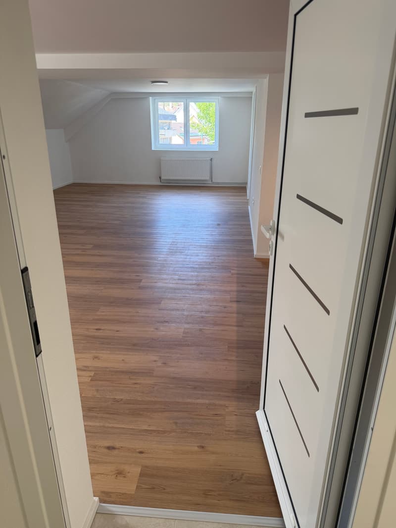 2,5 Zimmer Wohnung – renoviert! (5)