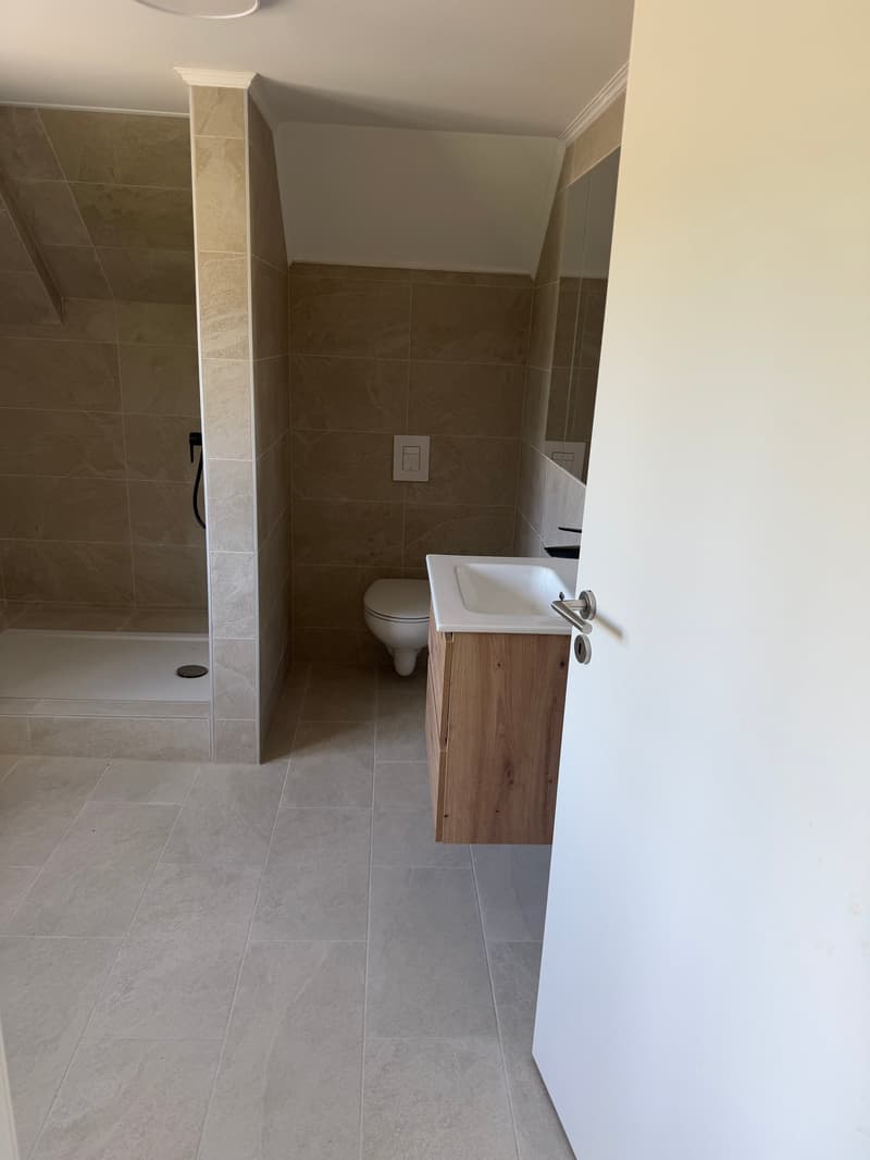 2,5 Zimmer Wohnung – renoviert! (2)