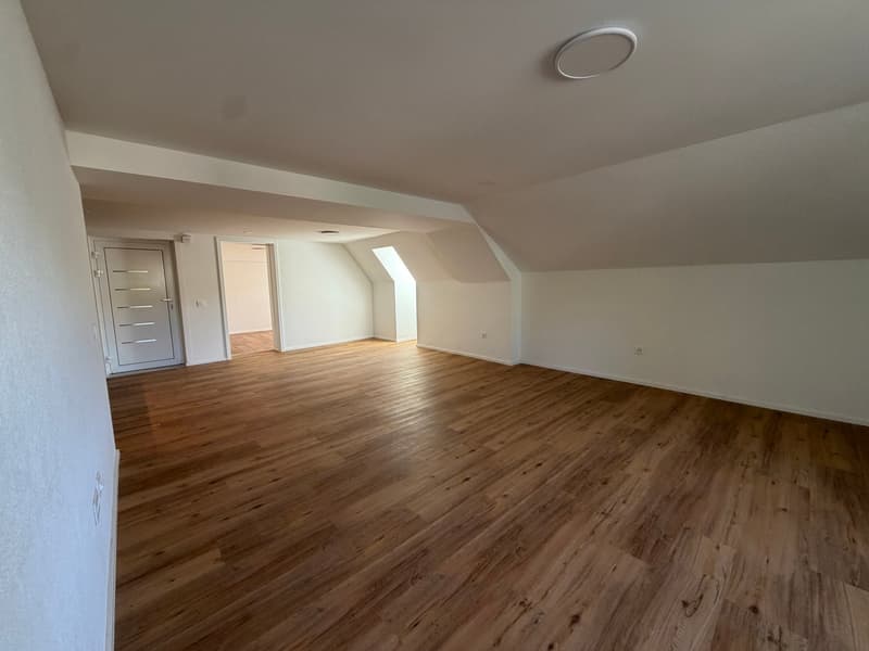 2,5 Zimmer Wohnung – renoviert! (3)