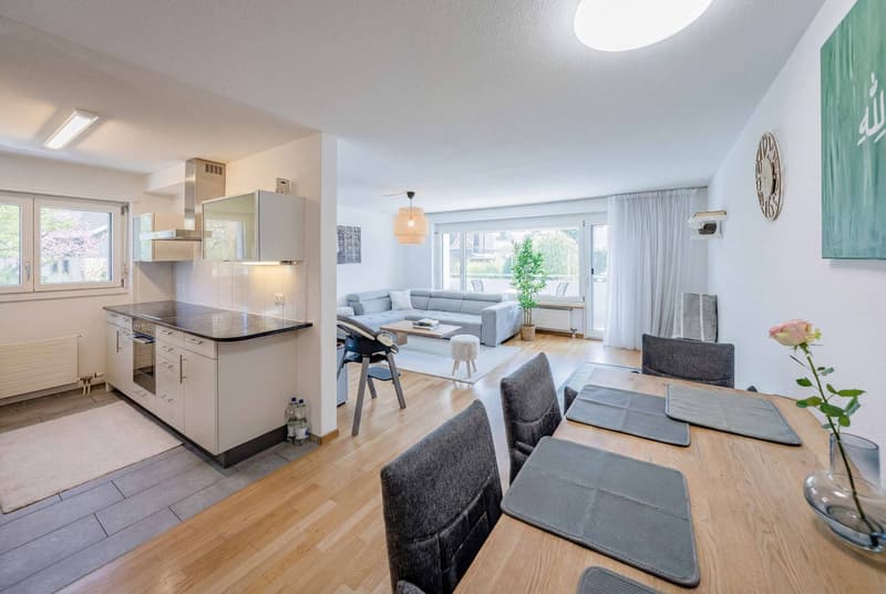 Open plan living room and kitchen, wooden floor, white walls, modern furniture, dining table, couch, kitchen appliances, windows, radiator, potted plant