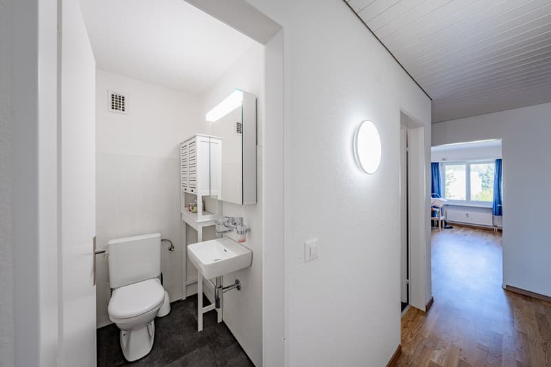 Bathroom with toilet, sink, and mirror, wooden floor, white walls, and ceiling